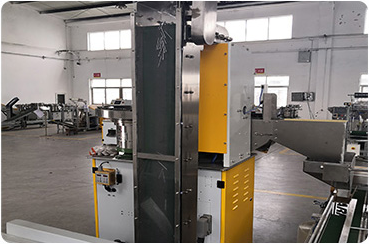 Semi Automatic Weighing And Counting Screw Box Packing Machine - Box Packing Machine - 5